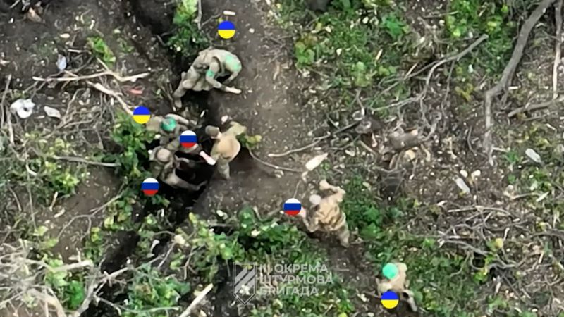Russian soldiers surrender to Ukraine in trench video.