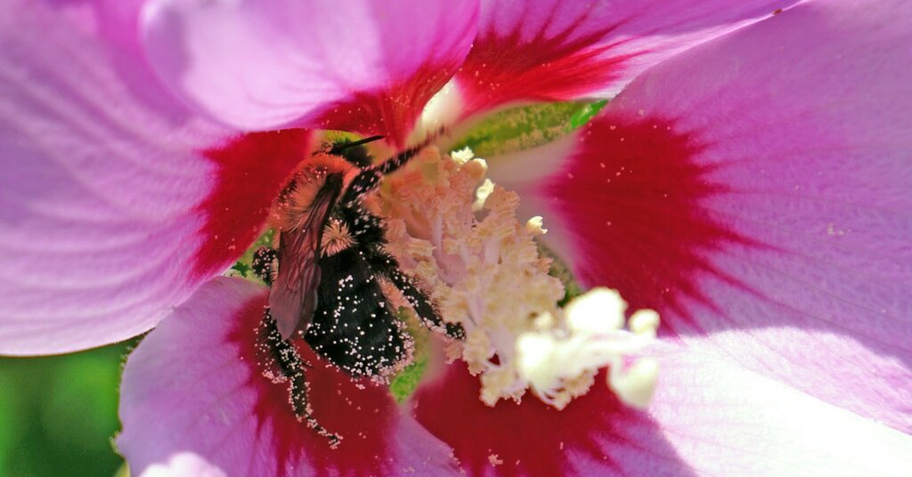 "December 20, 2023 Spelling Bee Answers Unveiled"