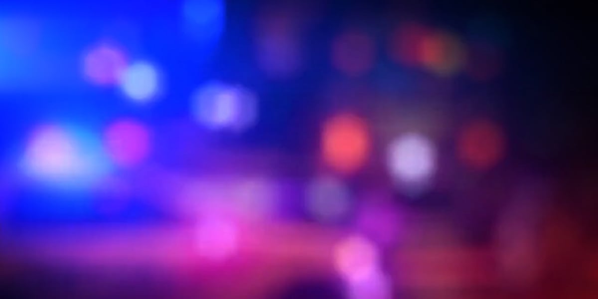 Featured image for Fatal Industrial Accident Claims Life of Contractor in Davidson