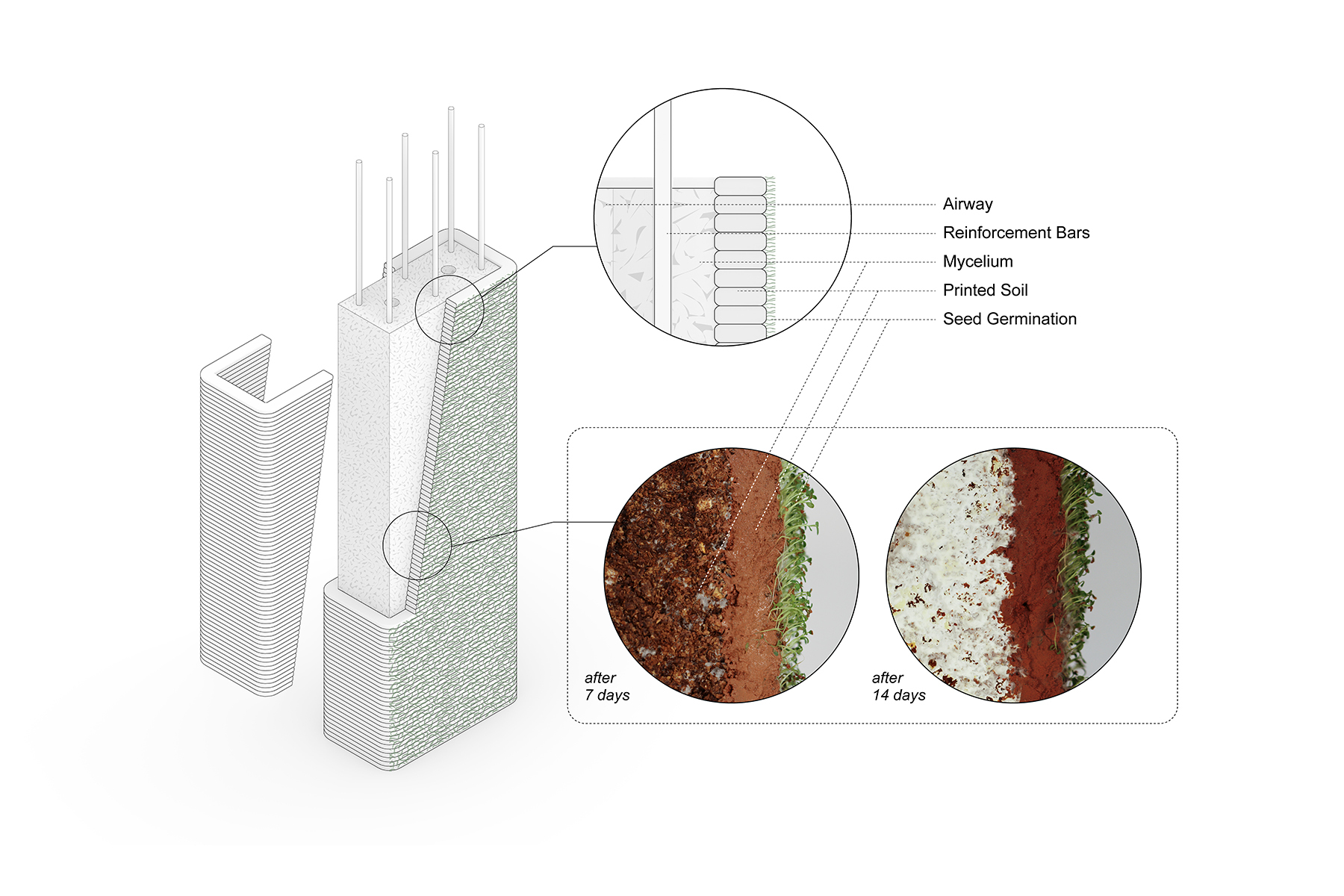 Featured image for Robotic Earth Printing Advances Living Building Materials