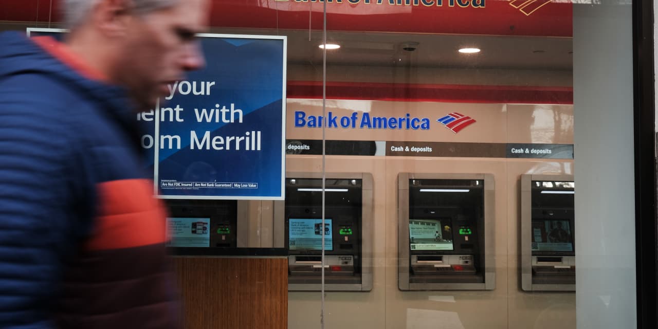Bank of America's Earnings Soar Despite Balance Sheet Concerns