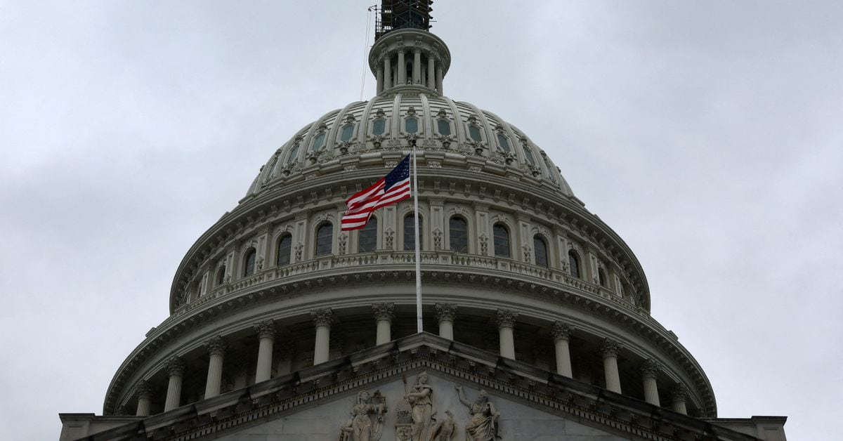 "US House Passes Bill to Avert Government Shutdown, Democrats Play Key Role"