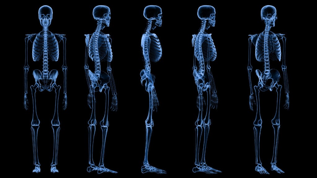 Featured image for AI Revolutionizes Cancer Treatment and Care