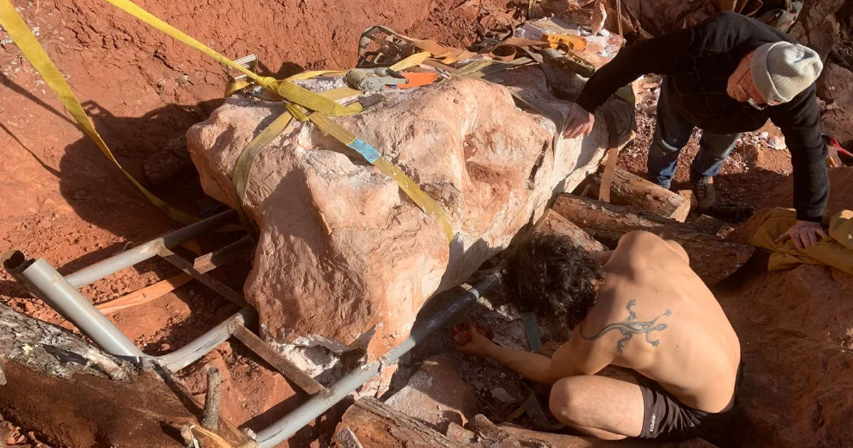 Featured image for "Man Discovers Nearly Intact 70 Million-Year-Old Dinosaur Skeleton While Walking His Dog"