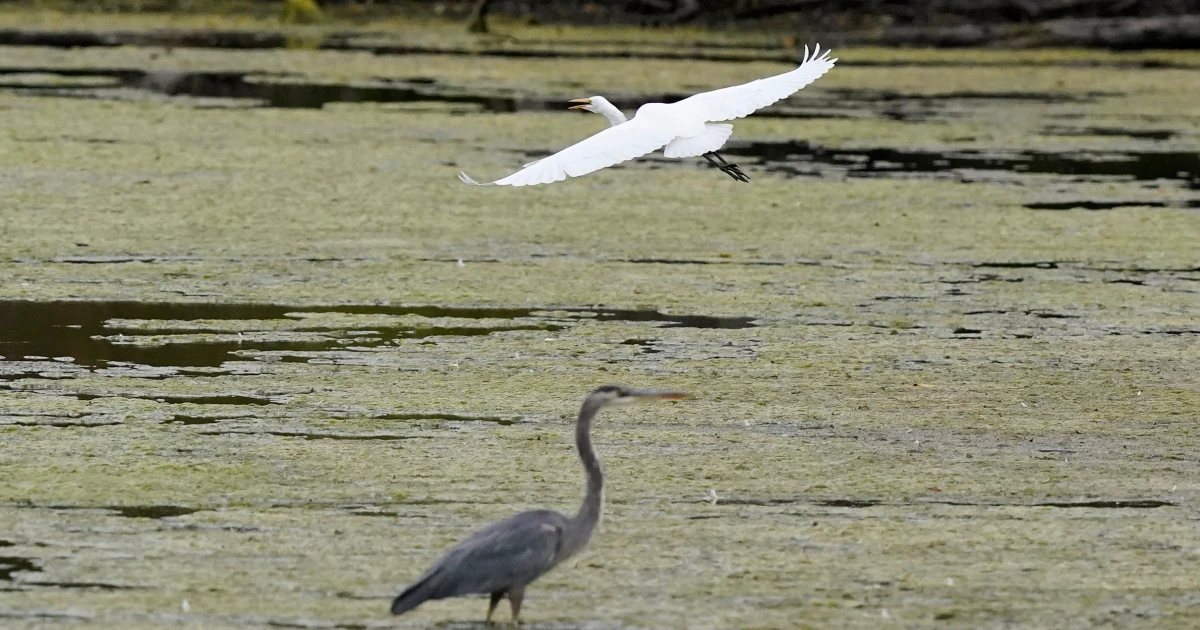 Biden rejects bill to remove EPA water protections.