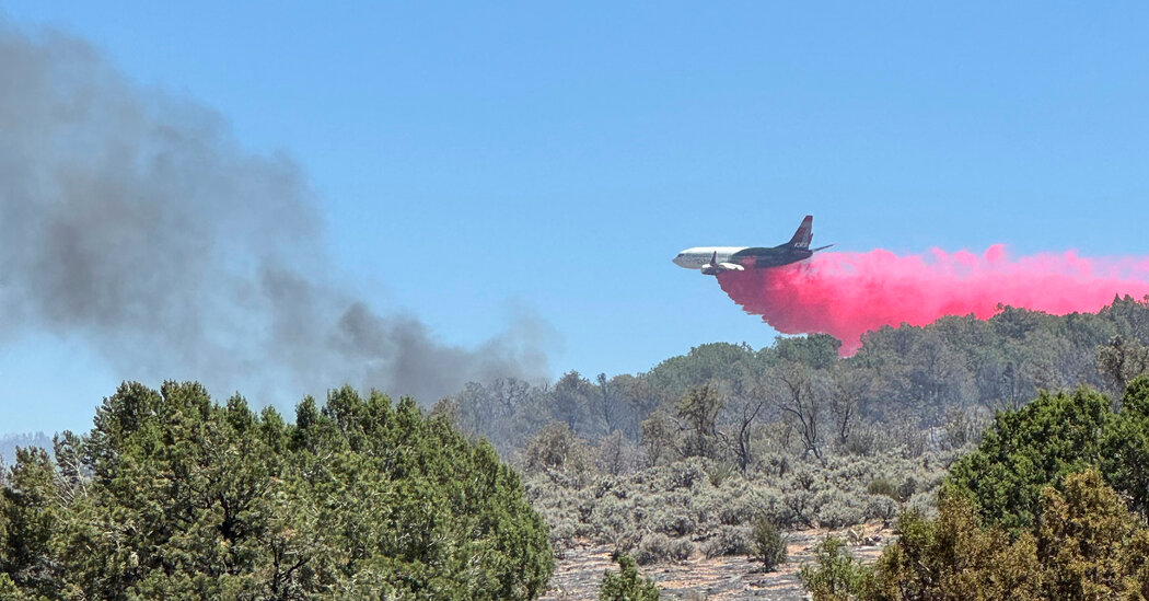 Wildfires Prompt Evacuations at Grand Canyon and Nearby Parks