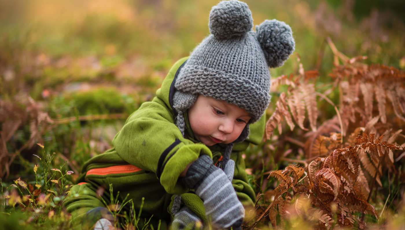 Featured image for Rewilded Daycare Yards Boost Children's Health Nationwide