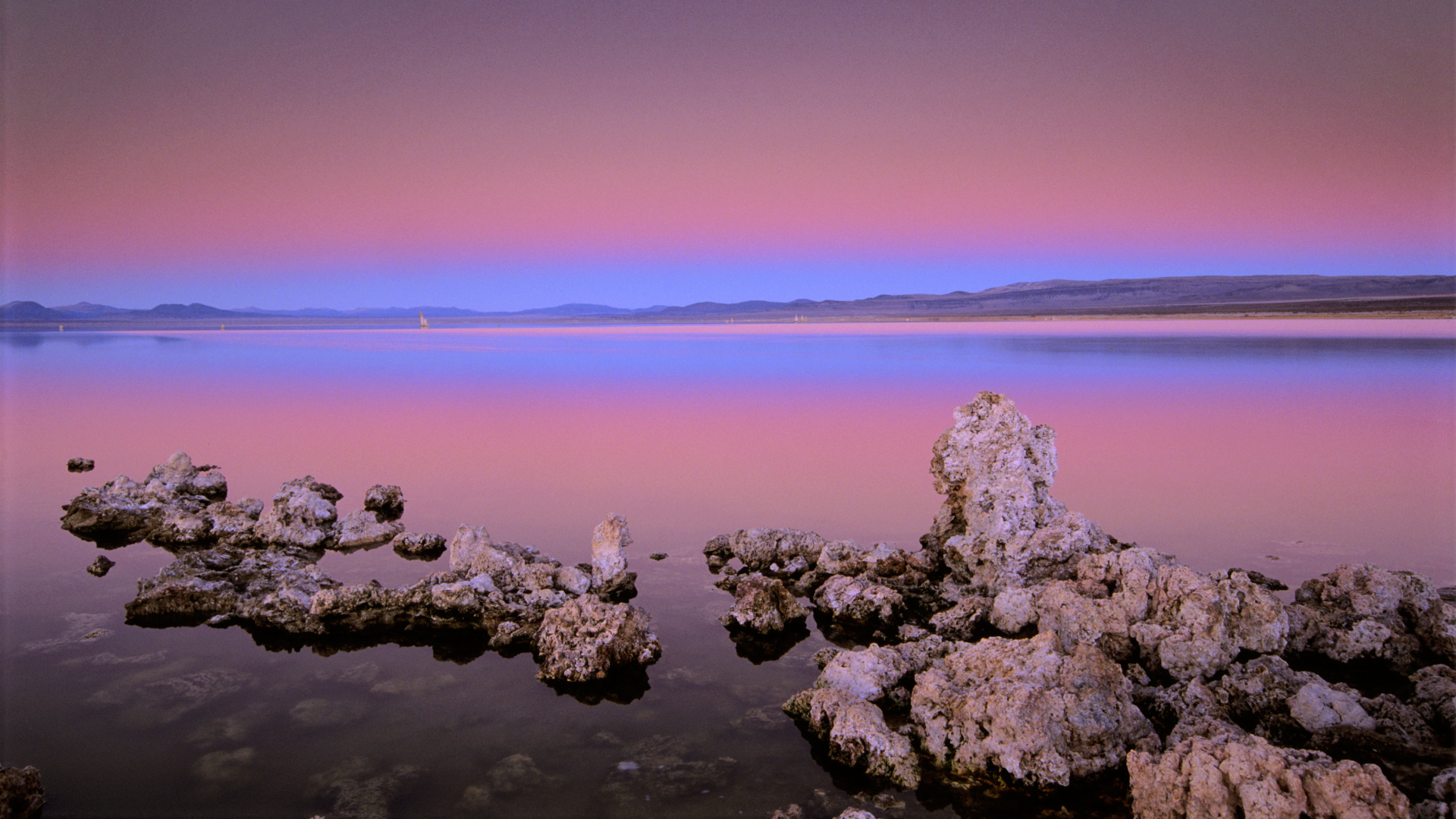 Featured image for Science Retracts 'Arsenic Life' Paper After 15 Years