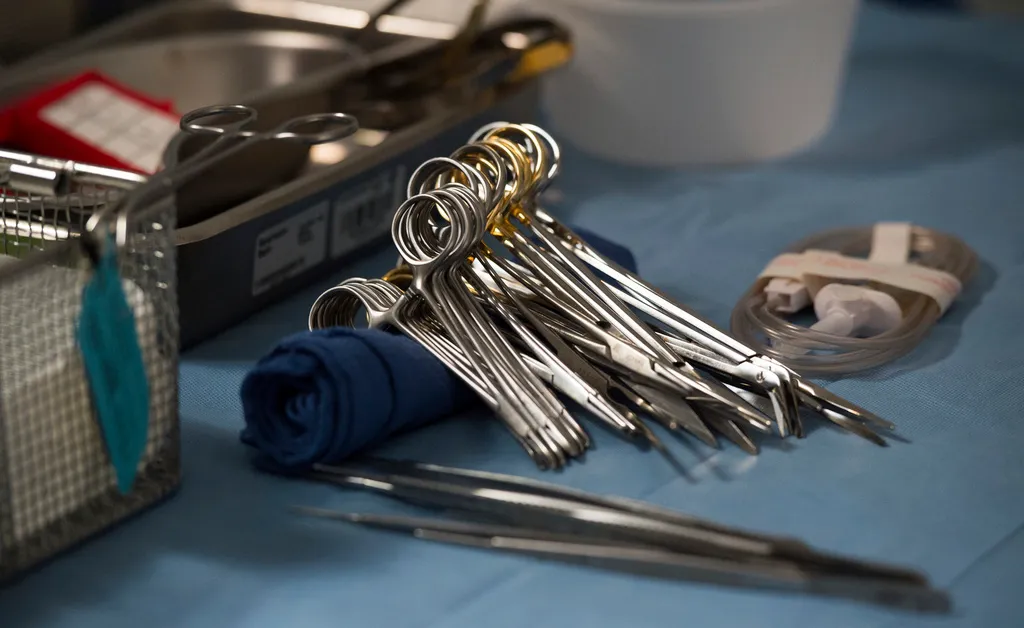 Featured image for HIV-Positive Organ Transplants Approved, Expanding Access