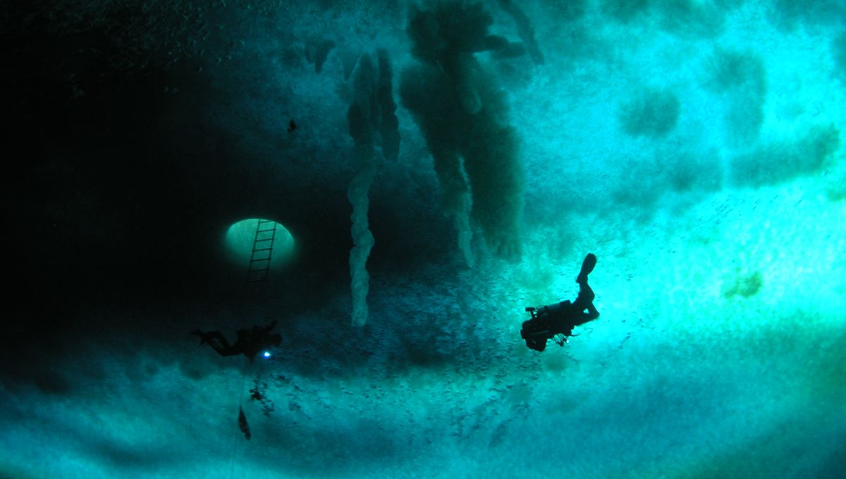 Featured image for Death Lurks Under Antarctic Ice