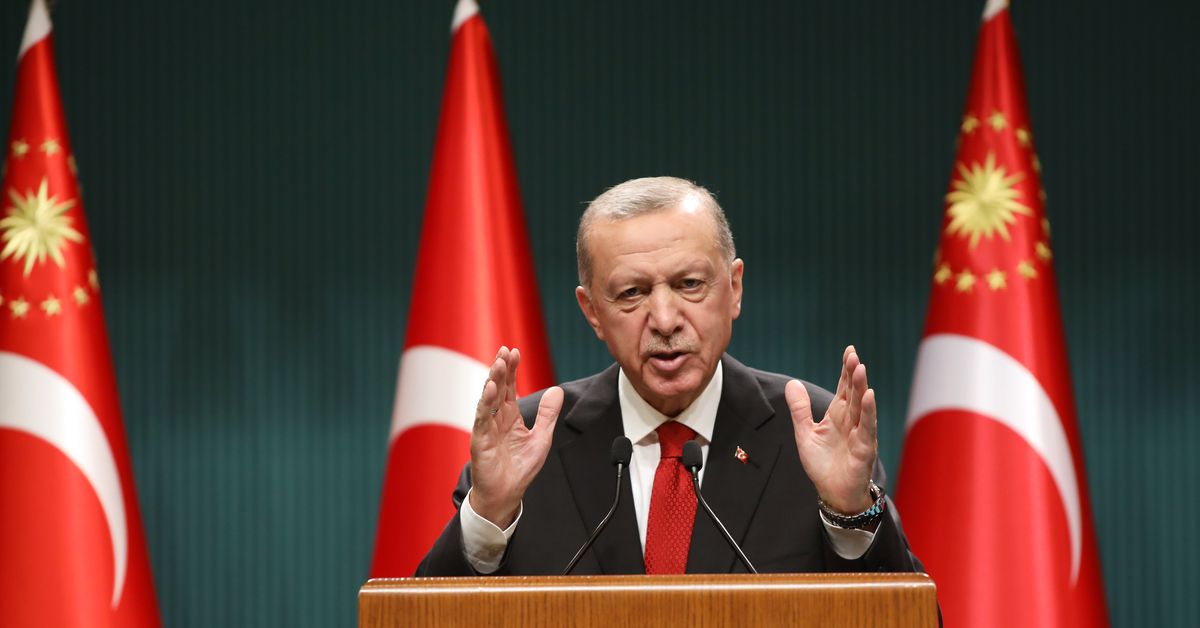 Turkey's Opposition to Sweden's NATO Membership: A Roadblock Explained