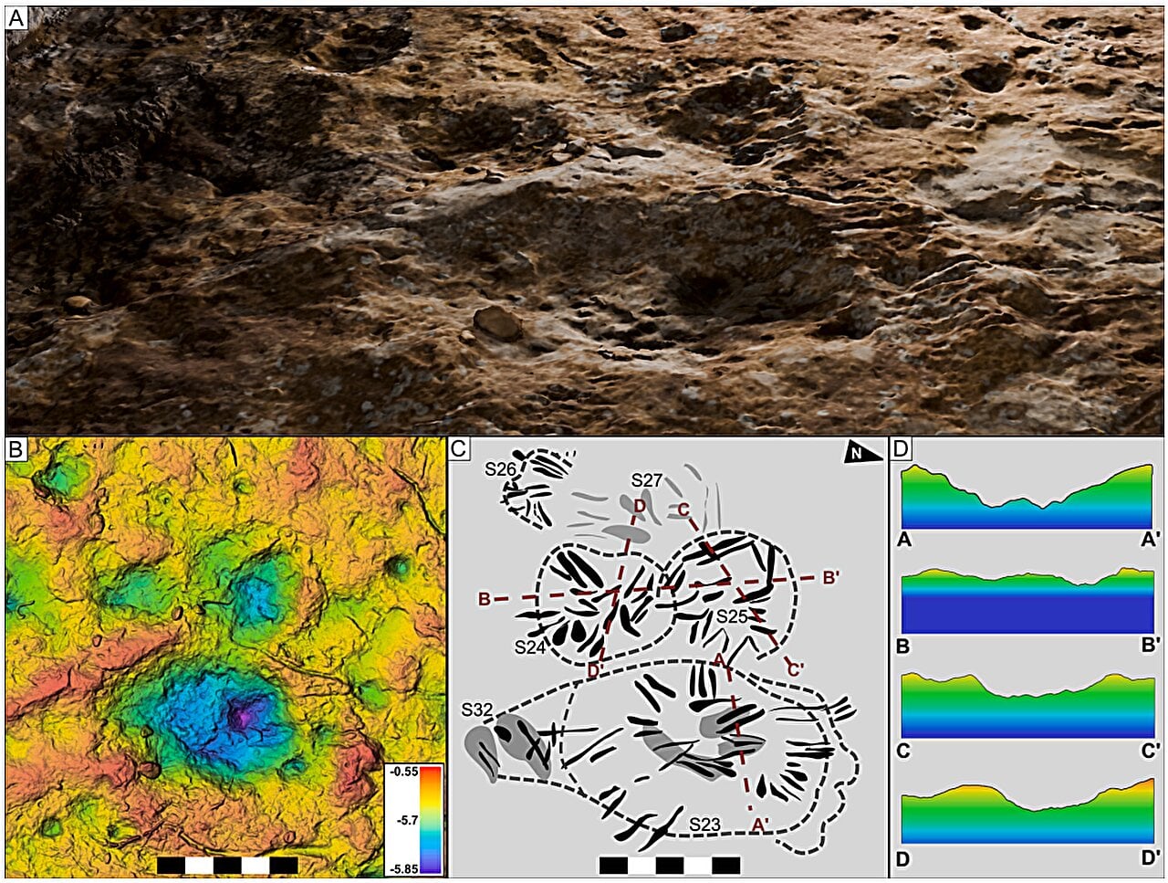 Featured image for Colorado's Dinosaur Ridge Unveiled as the World's Largest Dinosaur Mating Arena