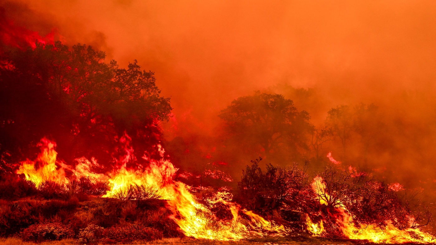 Featured image for Trump administration pushes to expand logging and road access in national forests