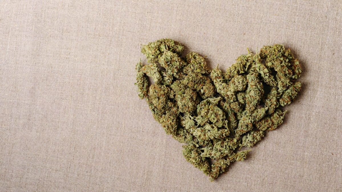Featured image for Doctors Link Cannabis to Woman’s Unexpected Cardiac Arrest