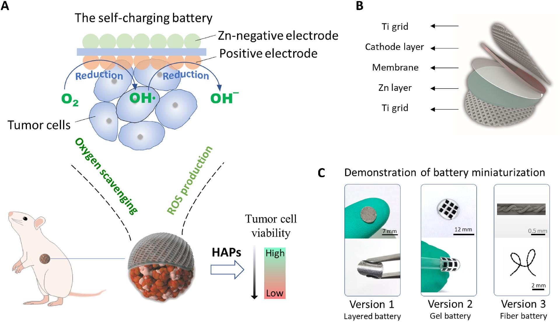Implantable oxygen-ion battery shrinks cancer tumors in mice.