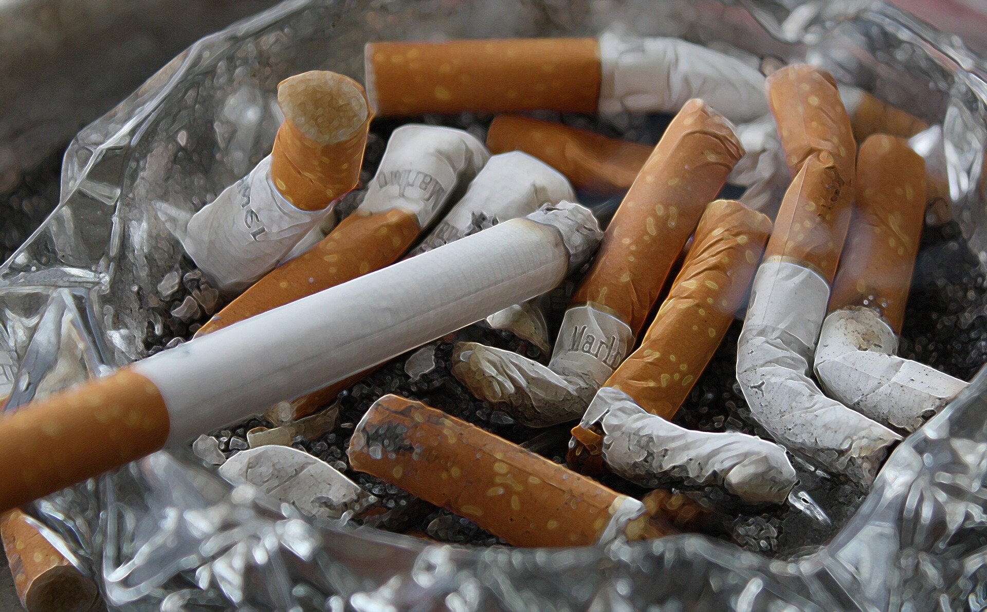 Featured image for Smoking hinders cancer defenses, making treatment more difficult: Study