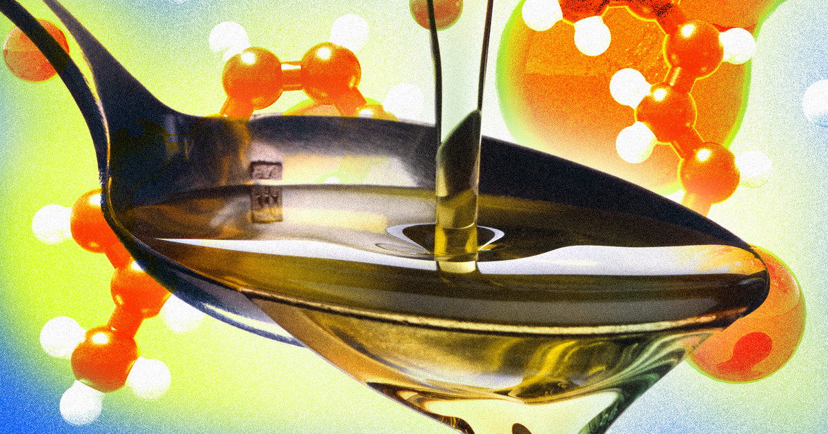 Featured image for Debunking Seed Oil Myths: Health Benefits and Alternatives Explored