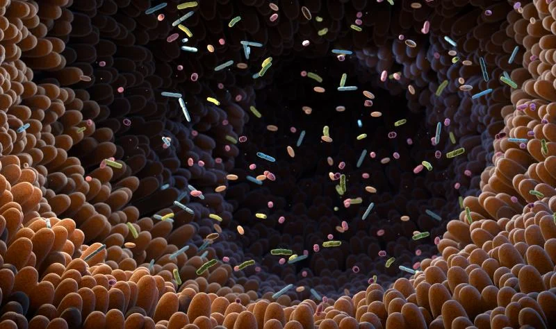 Certain antibiotics leave gut microbes altered for years, Swedish study finds