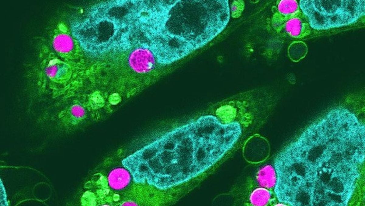 Featured image for title