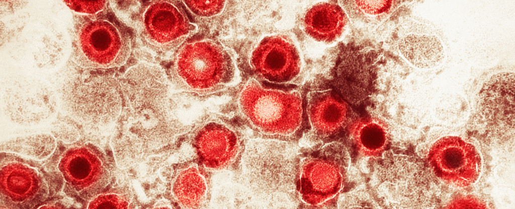 "50,000-Year-Old Neanderthal Bones Reveal Oldest Human Viruses"