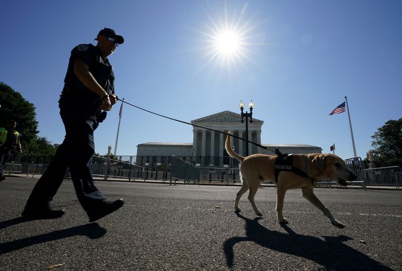 Supreme Court to Decide Free Speech vs. Trademark Rights in Dog Toy Case