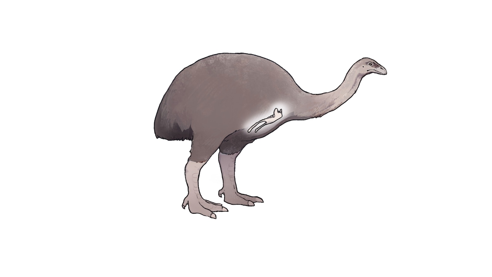 Featured image for "Ancient Bird DNA Breakthrough May Revolutionize Extinct Species Research"