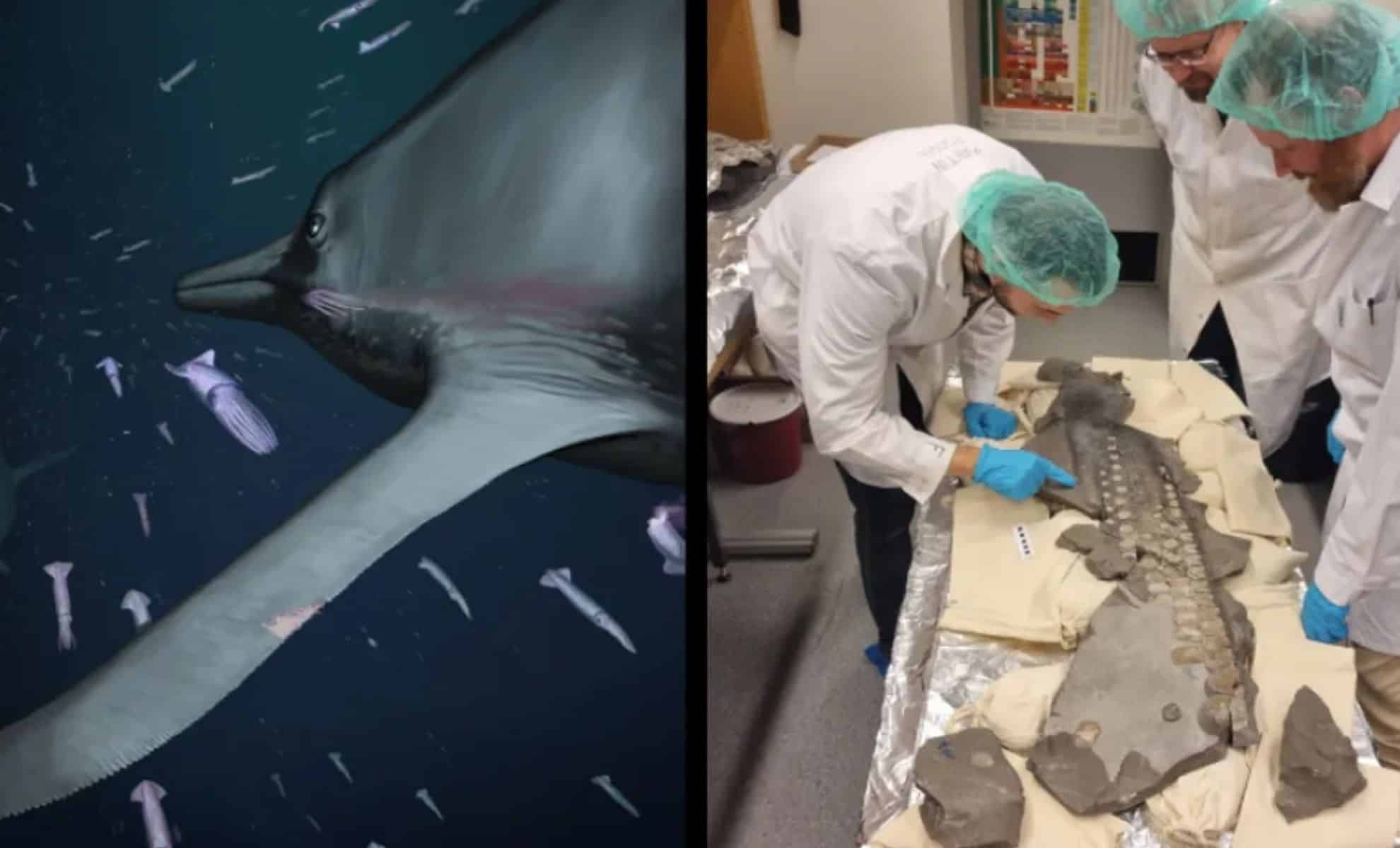 Featured image for Revolutionary Fossil Finds Unveil Stealthy Hunting Tactics of Ancient Giant Ichthyosaurs