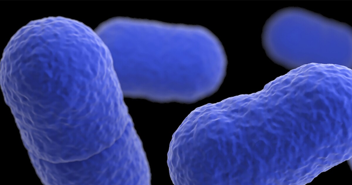 Deadly Listeria Outbreak Prompts Massive Meat Recall