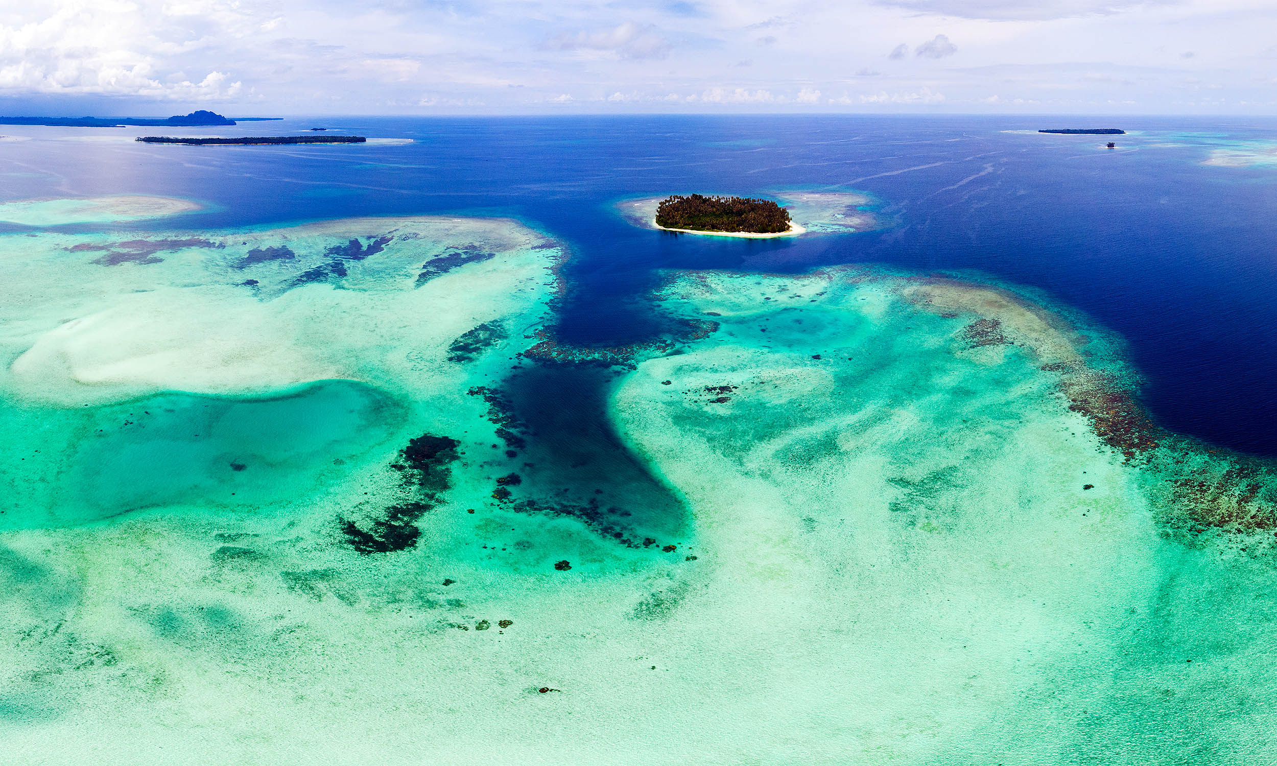 Featured image for Changing Ocean Colors Signal Climate Shifts and Marine Impact