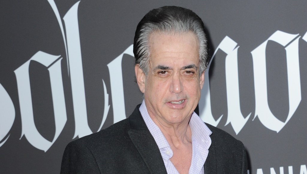'Green Book' and 'The Sopranos' actor Frank Vallelonga Jr. died of fentanyl and cocaine overdose.