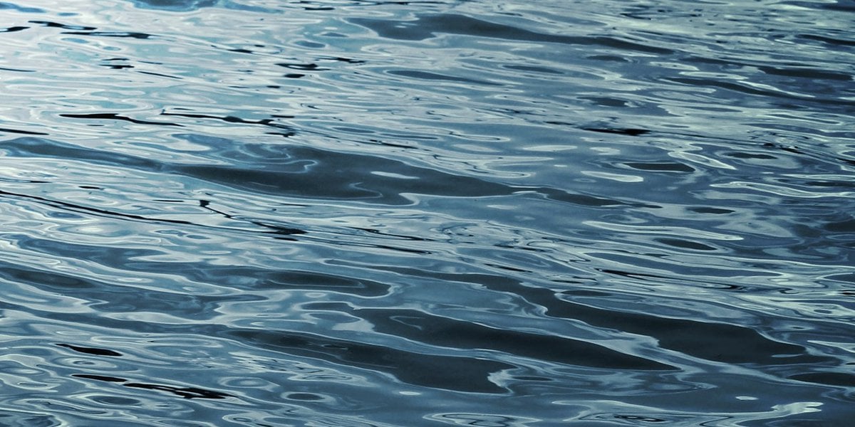 Shark Attack in Turks and Caicos: American Tourist Loses Leg.