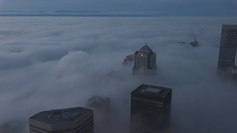 Featured image for Foggy Conditions Disrupt Travel in Puget Sound Region