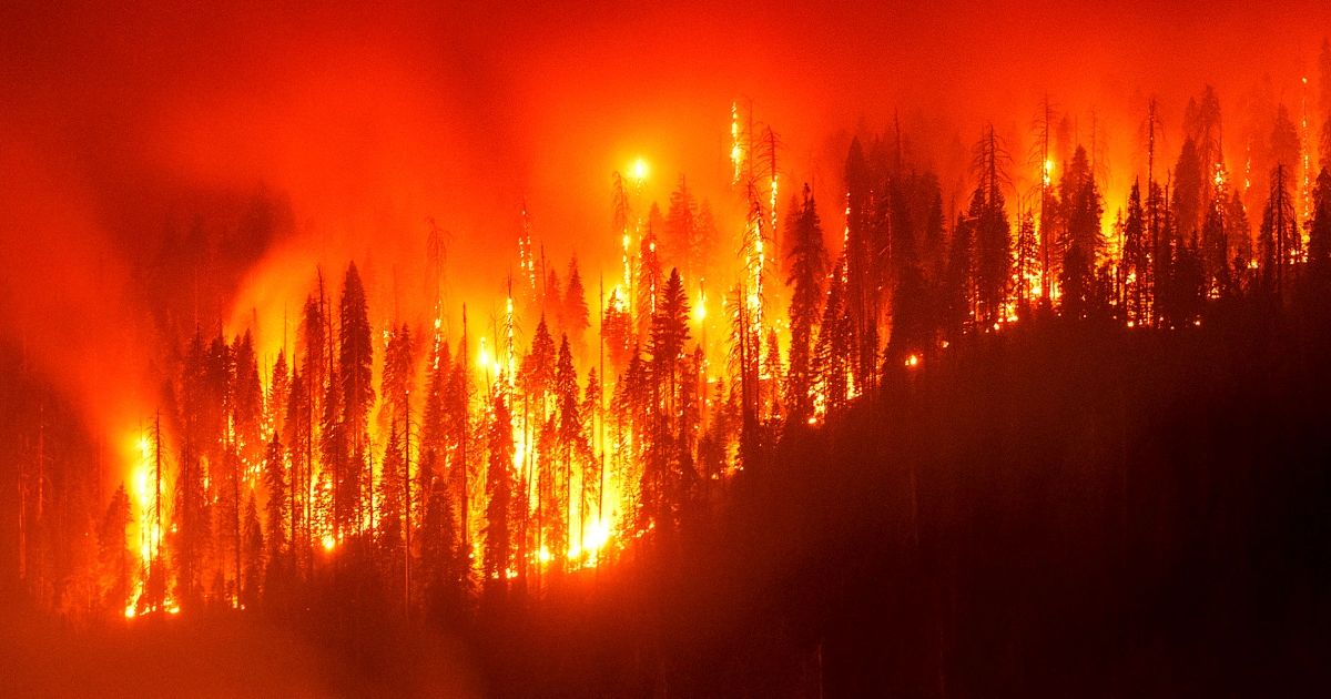 Featured image for California Firefighters Struggle to Save Iconic Sequoia Groves from Wildfire