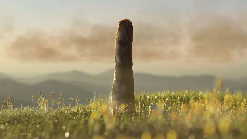 Ancient Devonian giant Prototaxites may be a previously unknown life form