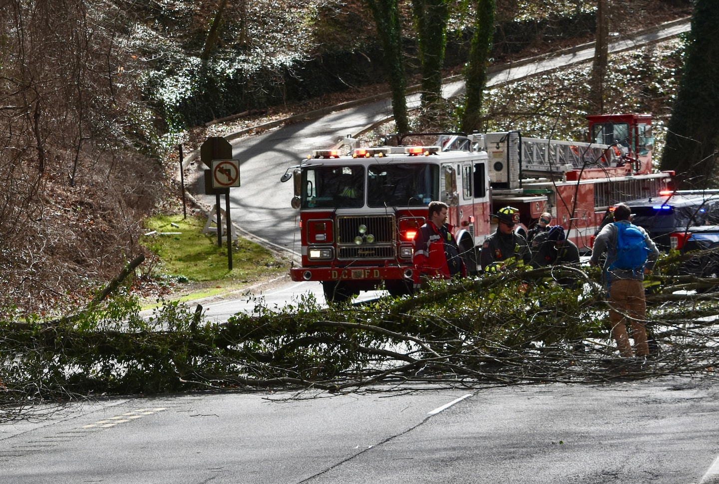 Featured image for "Windy Weather Wreaks Havoc in D.C. Area"