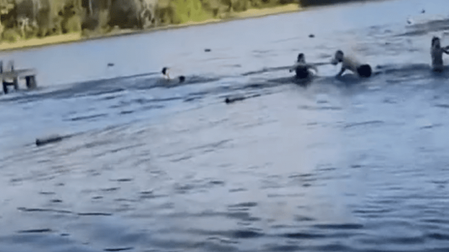 Girl Scouts narrowly escape 14-foot alligator in Texas lake