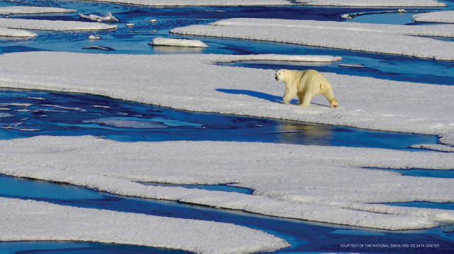 Featured image for "Tracking the Annual Rise in Sea Level and Sea Ice Coverage: The Numbers Revealed"