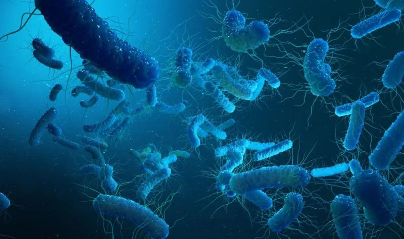 LA uncovers novel XDR Shigella in two independent cases