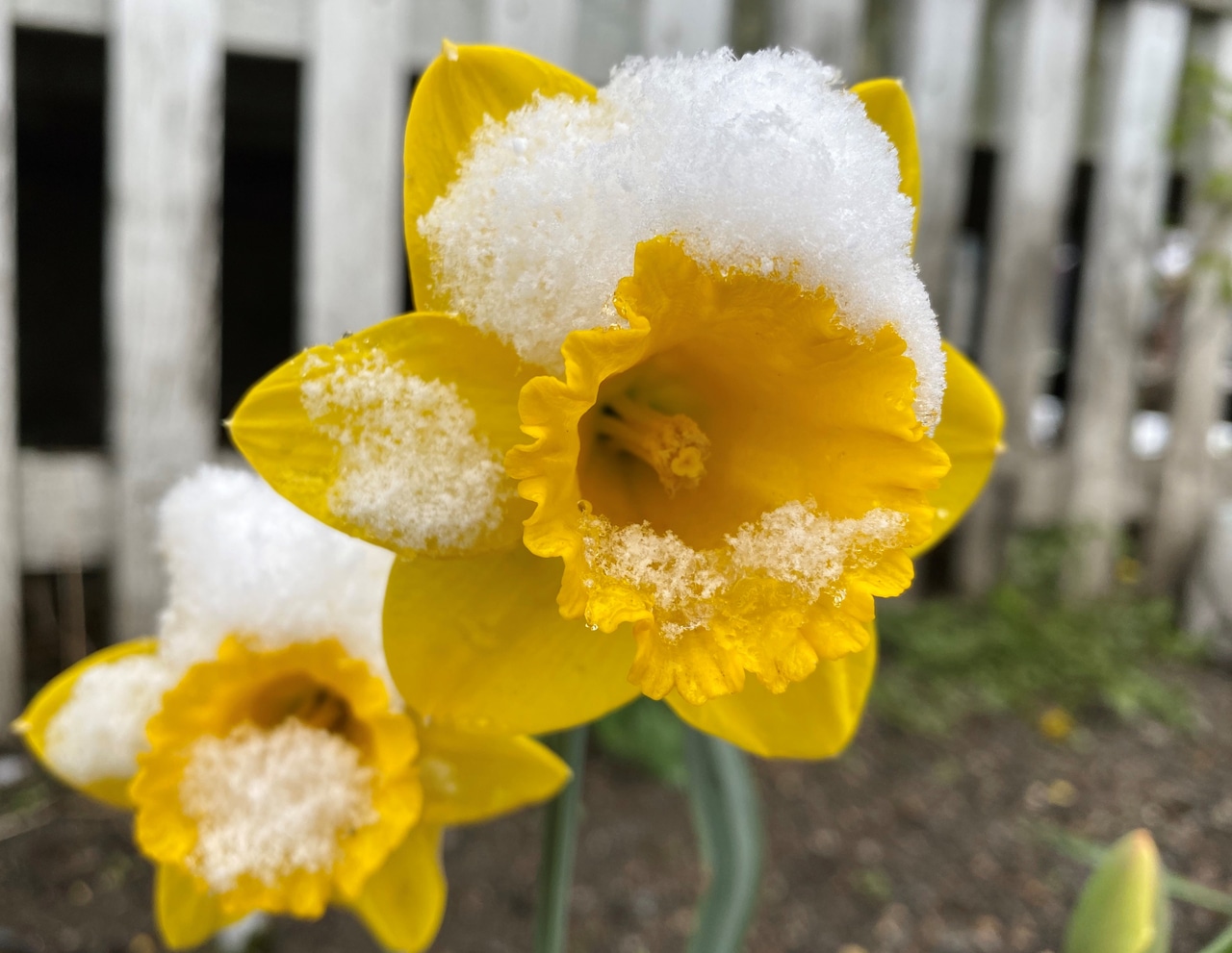 "April Snowstorm Threatens Northeast with Heavy Snow and Potential Power Outages"