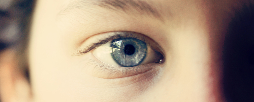 Unveiling Autism in Children's Eyes: AI's Hidden Pattern Diagnosis