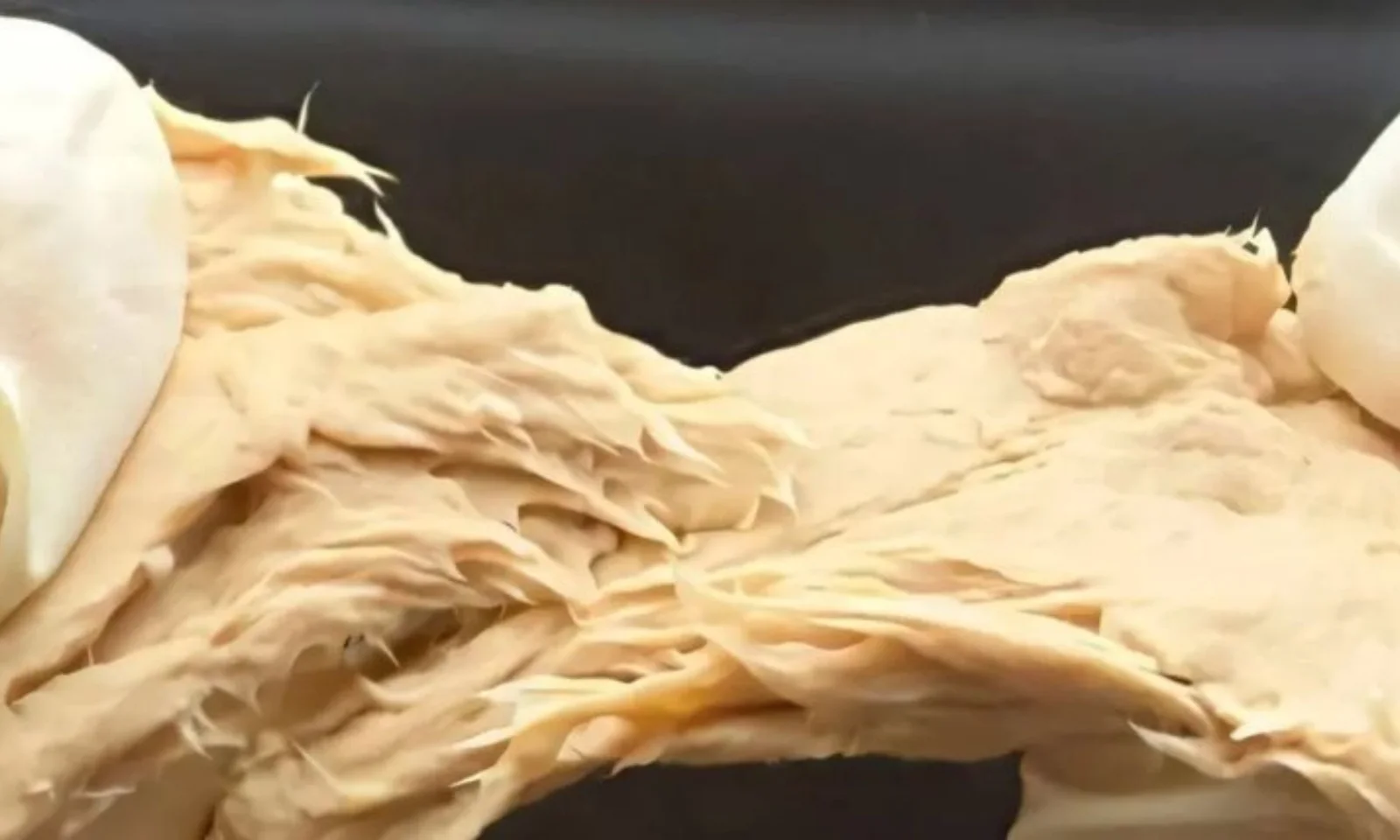 Gene-edited fungus could turbocharge meat substitutes and slash environmental footprint