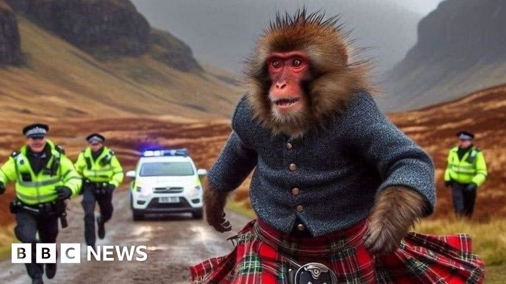 Featured image for "King-craig Kong: The Great Escape and Highland Capture of a Mischievous Monkey"