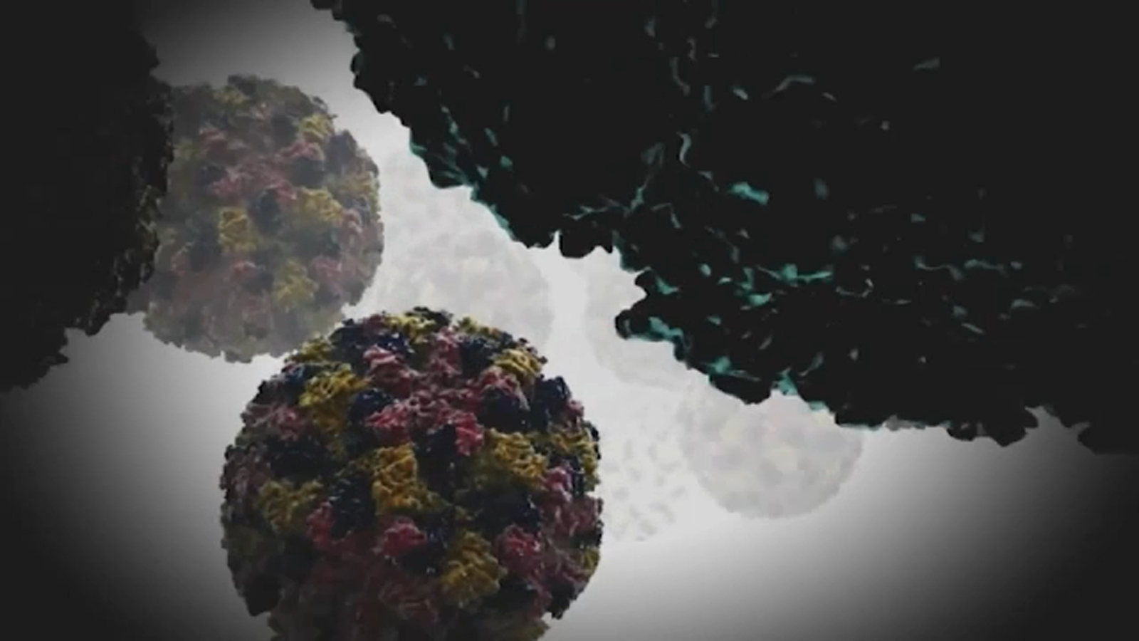 Featured image for First Pediatric Flu Death of 2025-2026 Season Reported in New Jersey