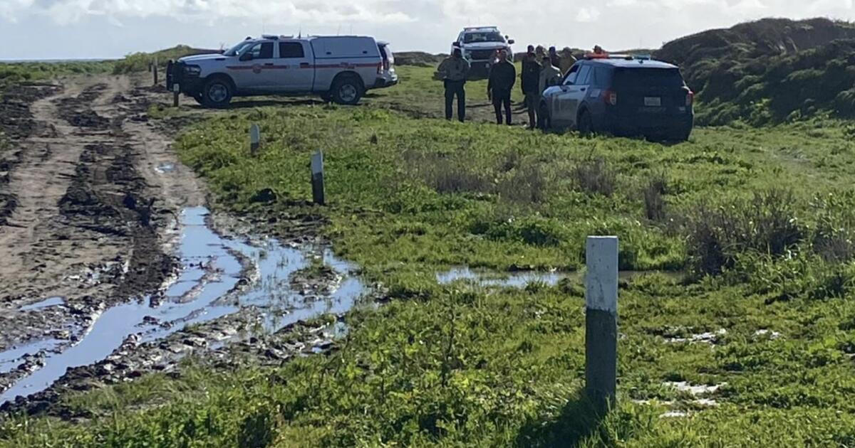 Featured image for Body found on Santa Cruz beach linked to shark attack