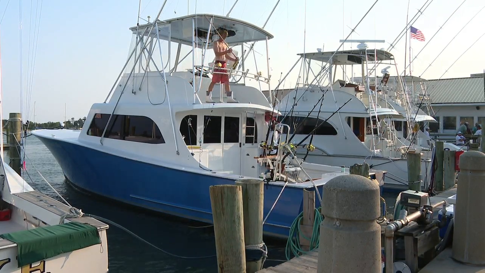 Featured image for Shark Bite Disqualifies Sensation's Winning Fish at Big Rock Blue Marlin Tournament.