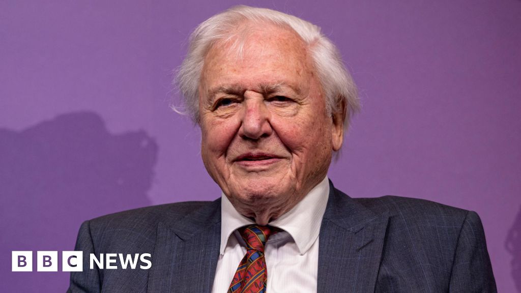 Featured image for David Attenborough Makes History as Oldest Daytime Emmy Winner