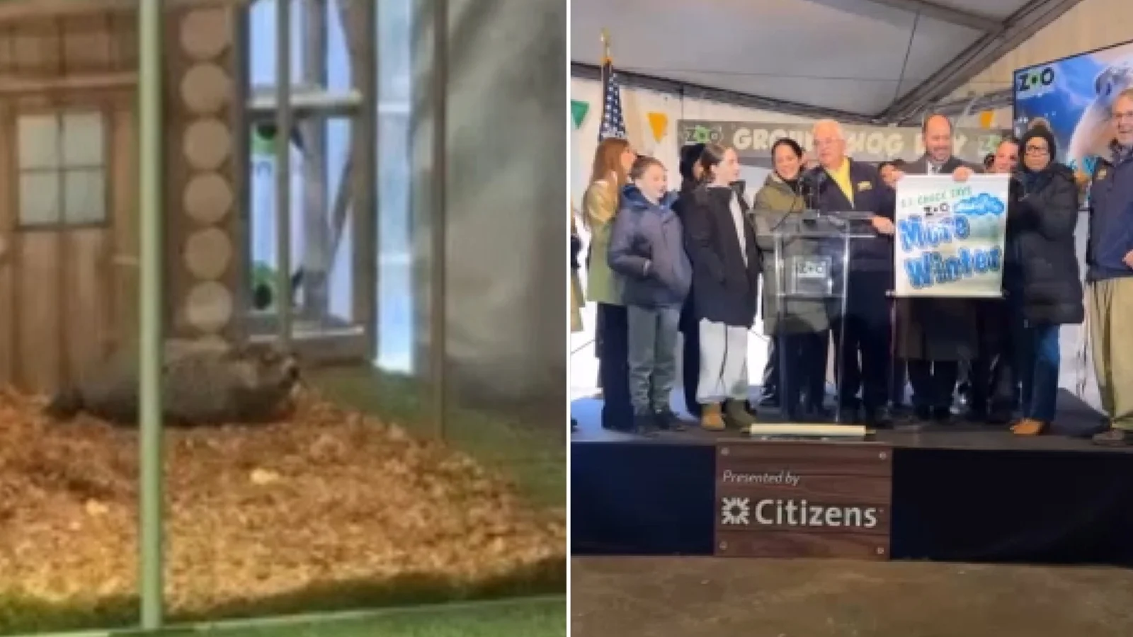 Staten Island Chuck Forecasts Six More Weeks of Winter on Groundhog Day