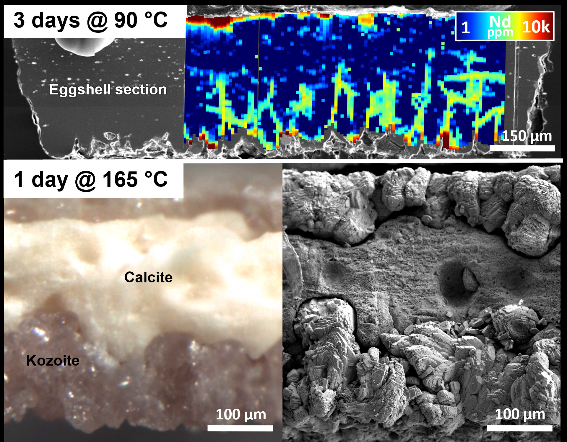 Featured image for "Eggshell Waste: A New Source for Rare Earth Element Recovery in Green Energy"