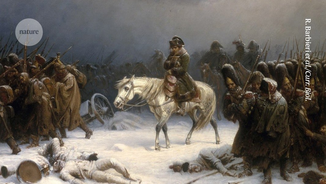 Featured image for DNA Uncovers Hidden Diseases That Led to Napoleon’s Army’s Downfall