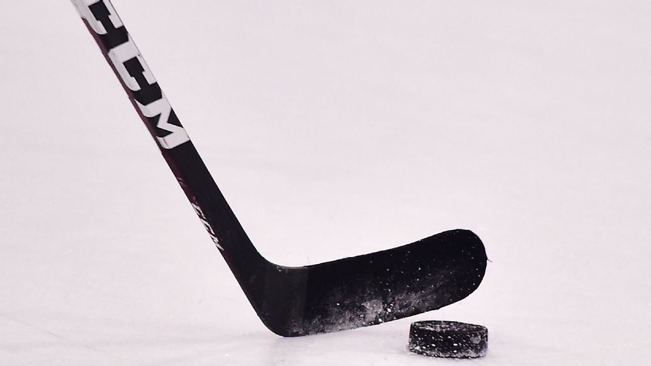 "Multiple NHL Players Facing Sexual Assault Charges and Taking Leave of Absence"